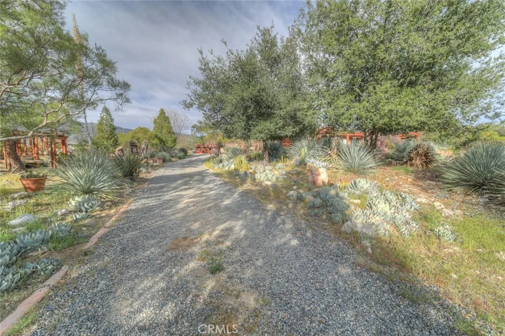 Additional image 135 of 37440 Old Forest Rd, Anza, CA 92539