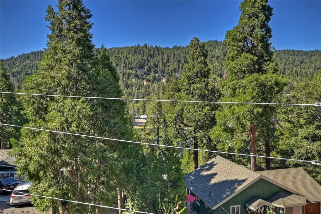 Additional image 80 of 24288 Zurich Drive, Crestline, CA 92325
