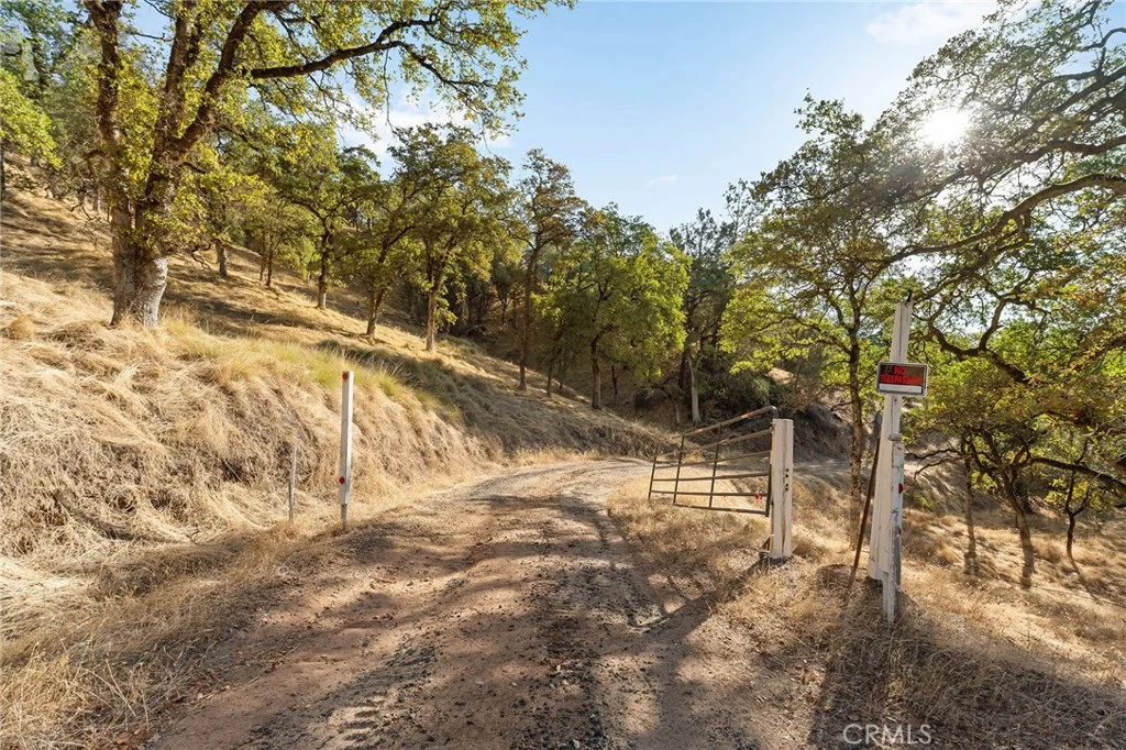 Spence, Berry Creek, CA 95966 photo 4