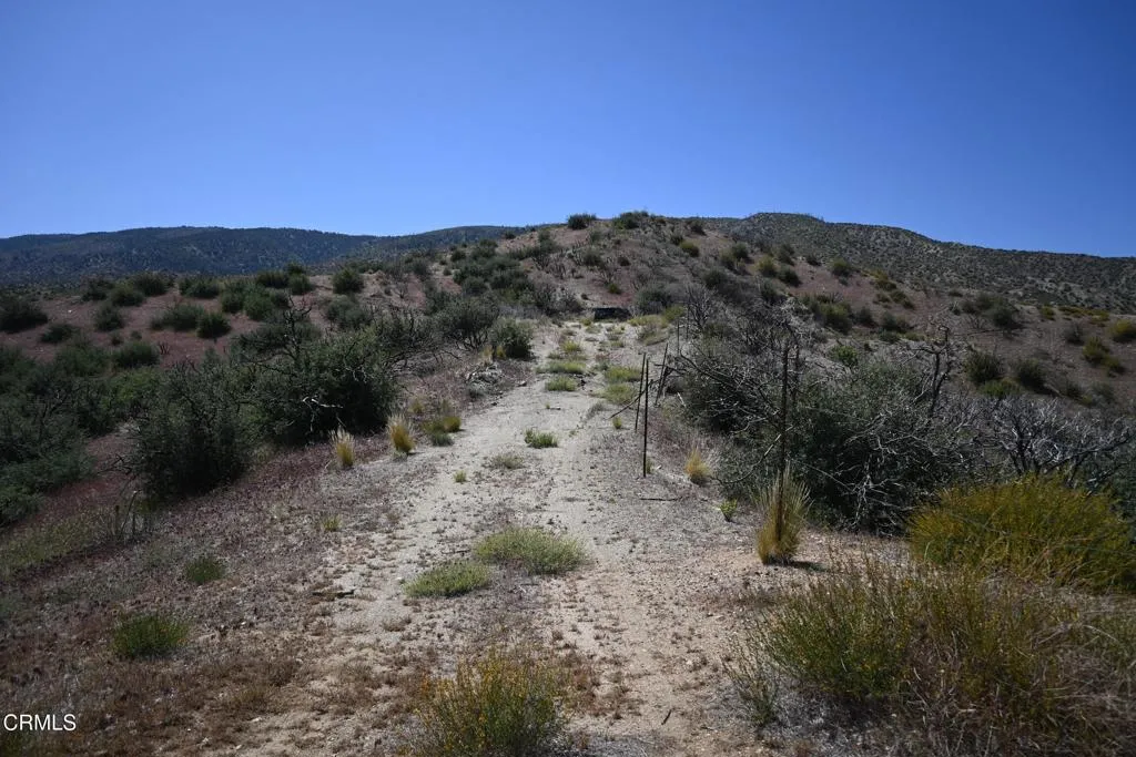 Additional image 18 of Big Pines, Llano, CA 93544