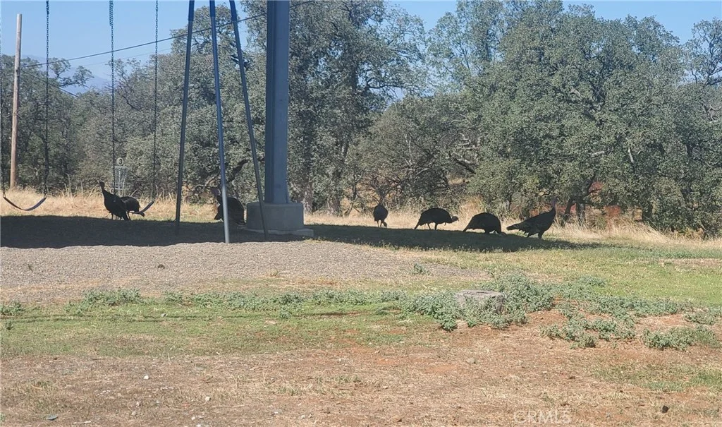 21857 Preston Pl, Cottonwood, CA 96022