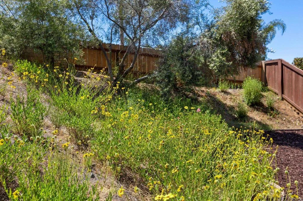 Additional image 33 of 2292 Marquand, Alpine, CA 91901
