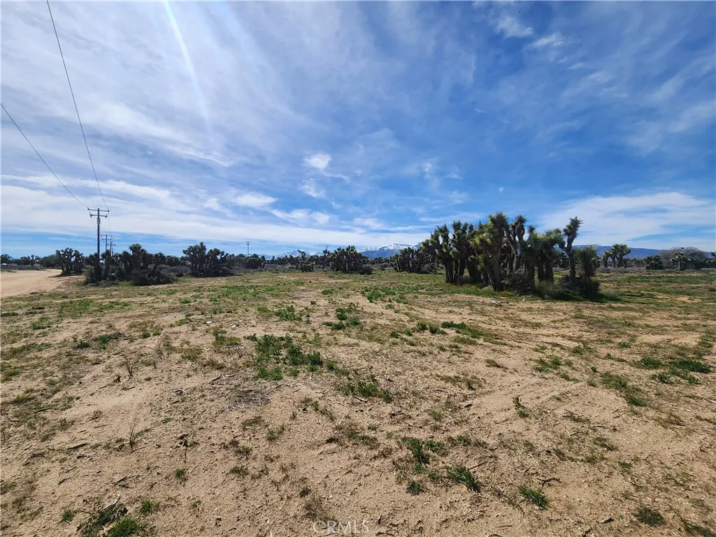 8976 Tumbleweed Rd  