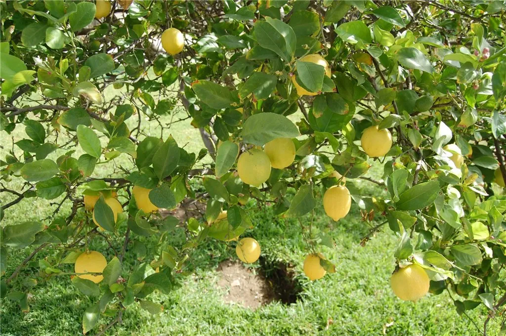 Additional image 8 of 9408 Poplar Avenue, Fontana, CA 92335