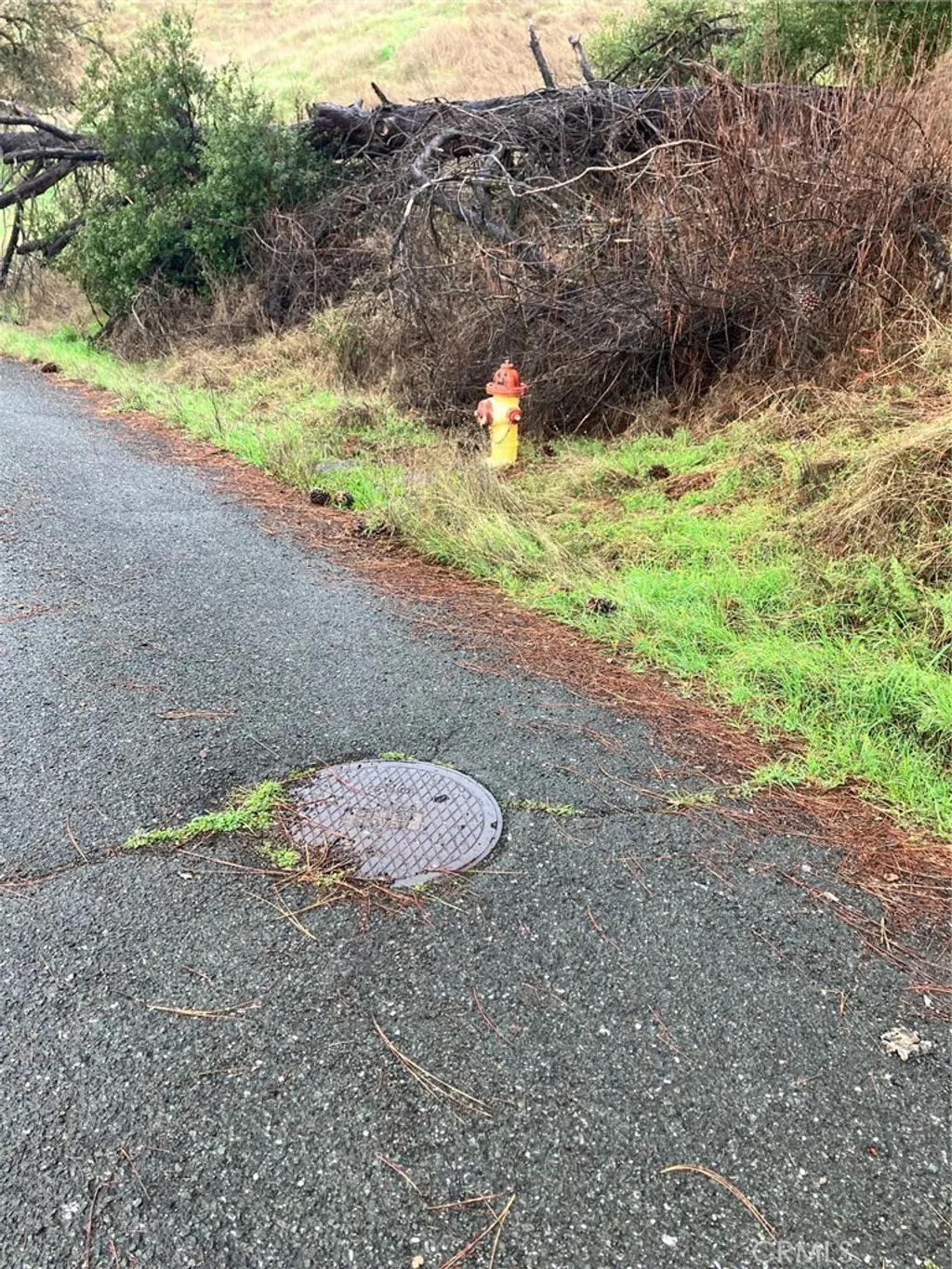 Property image for 12039 Lakeview Dr, Clearlake Oaks, CA 95423