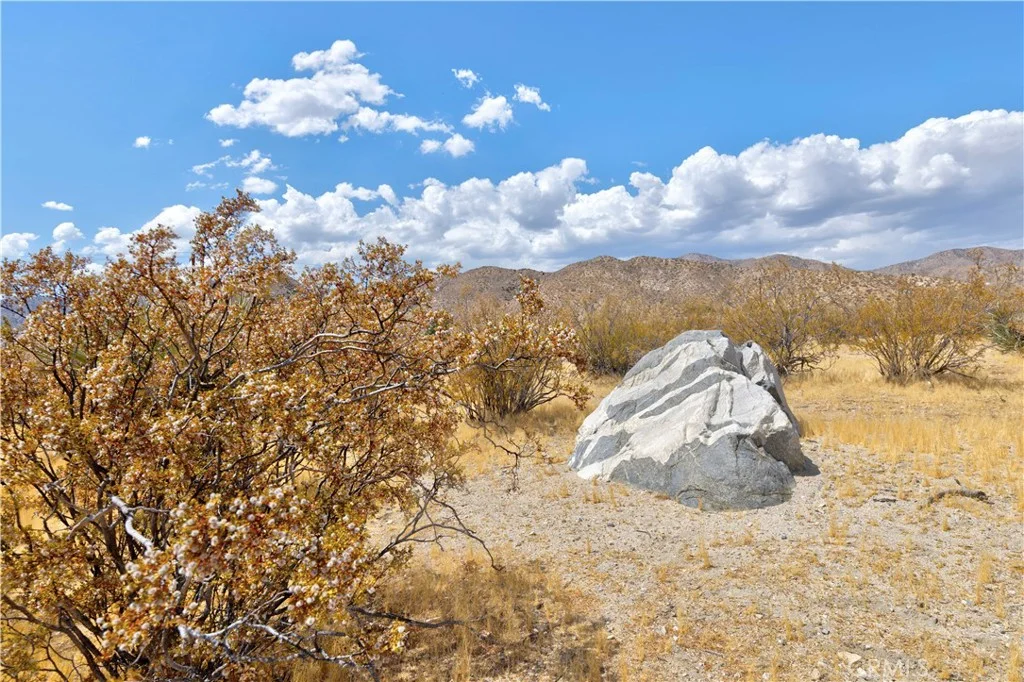 10219 N Star Trl, Morongo Valley, CA 92256
