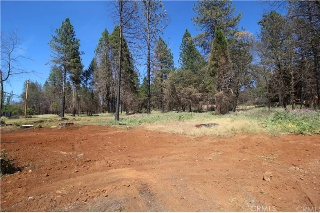 Additional image 10 of 8746 Skyway, Paradise, CA 95969