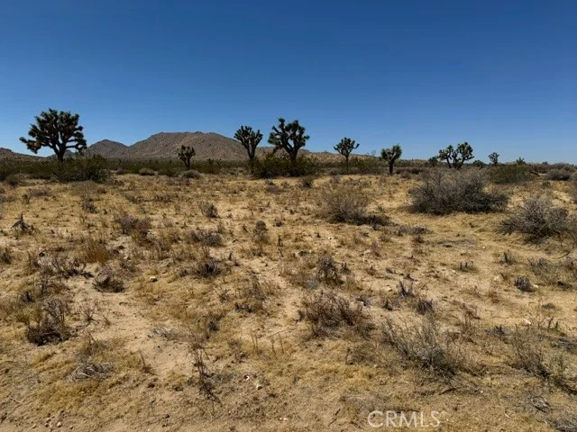 1 200th E, Lancaster, CA 93535 photo 5
