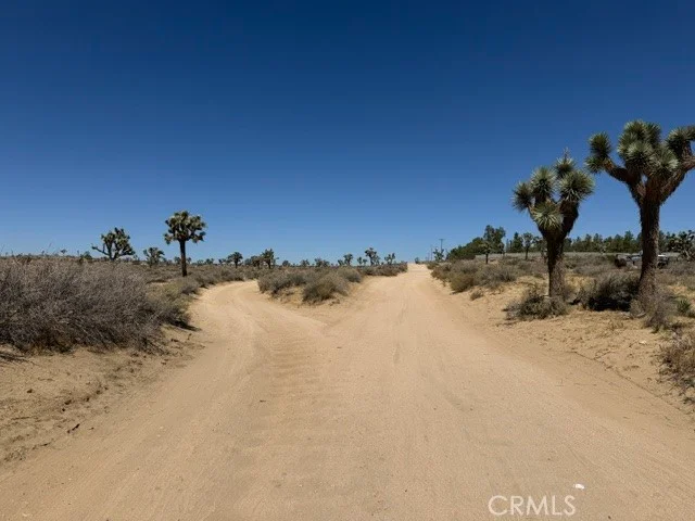 1 200th E, Lancaster, CA 93535 photo 2