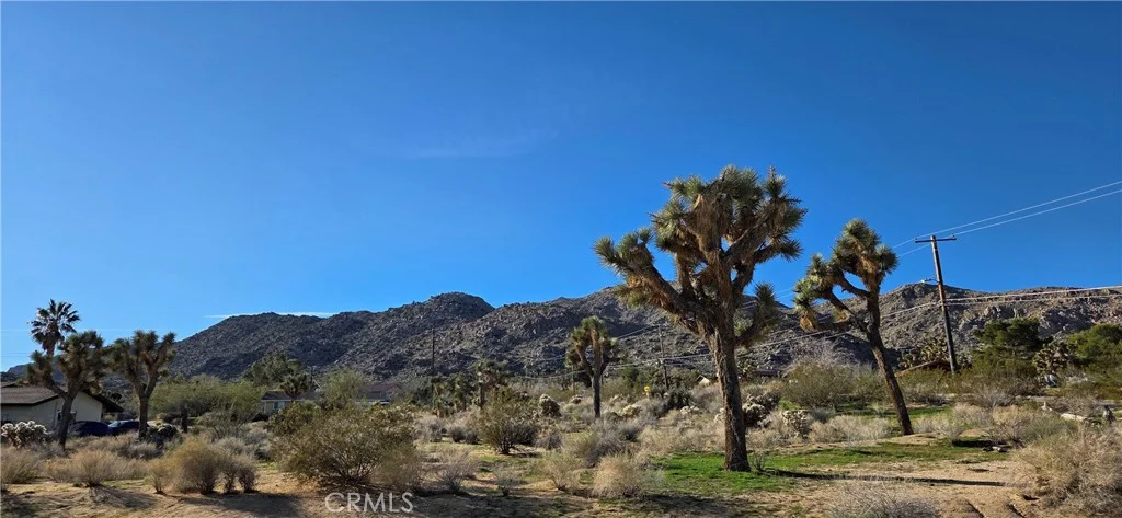 60917 Navajo Trl, Joshua Tree, CA 92252