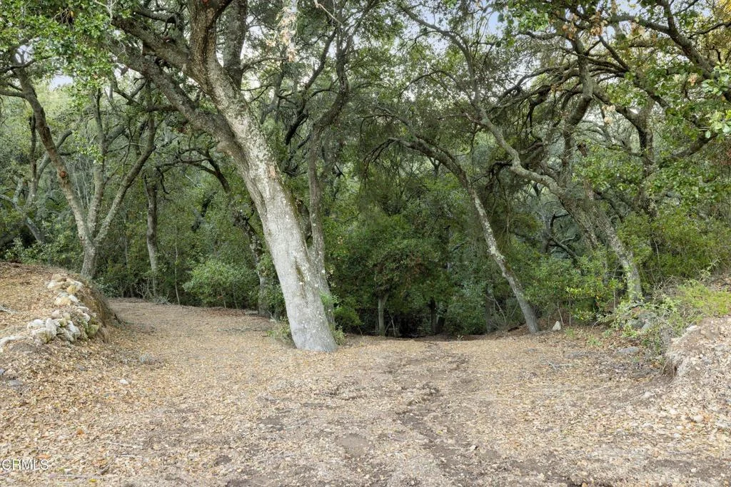 Additional image 19 of 6572 Stagecoach Road, Santa Barbara, CA 93105