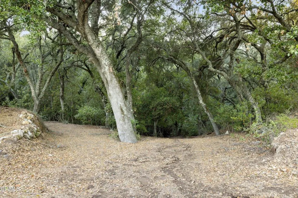 Additional image 47 of 6572 Stagecoach Road, Santa Barbara, CA 93105