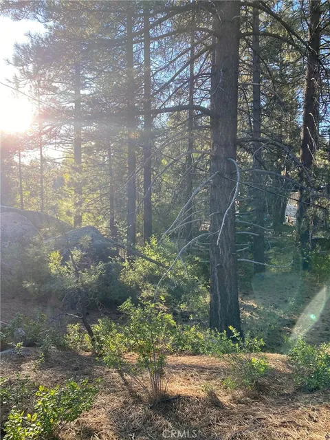 Cienega Road, Big Bear, CA MLS: PW20178991