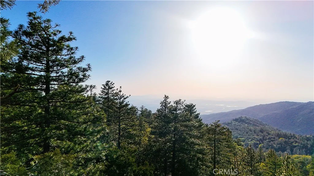 25121 Pine Cove Rd, Idyllwild, CA 92549