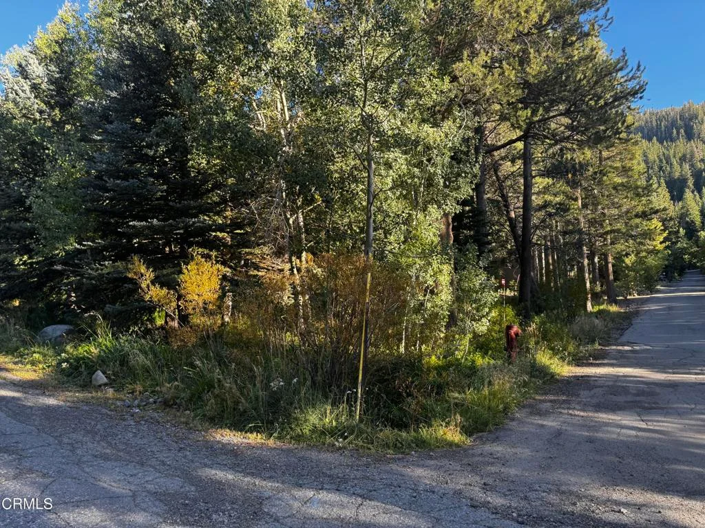 Aspen Grove Lane, , CA 93529 photo 5