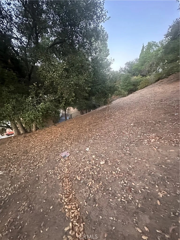 988 Rockdale Avenue, Los Angeles, CA 90041