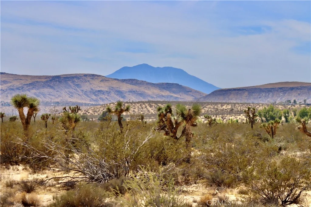 Mitch Lane, Landers, CA 92285 photo 3