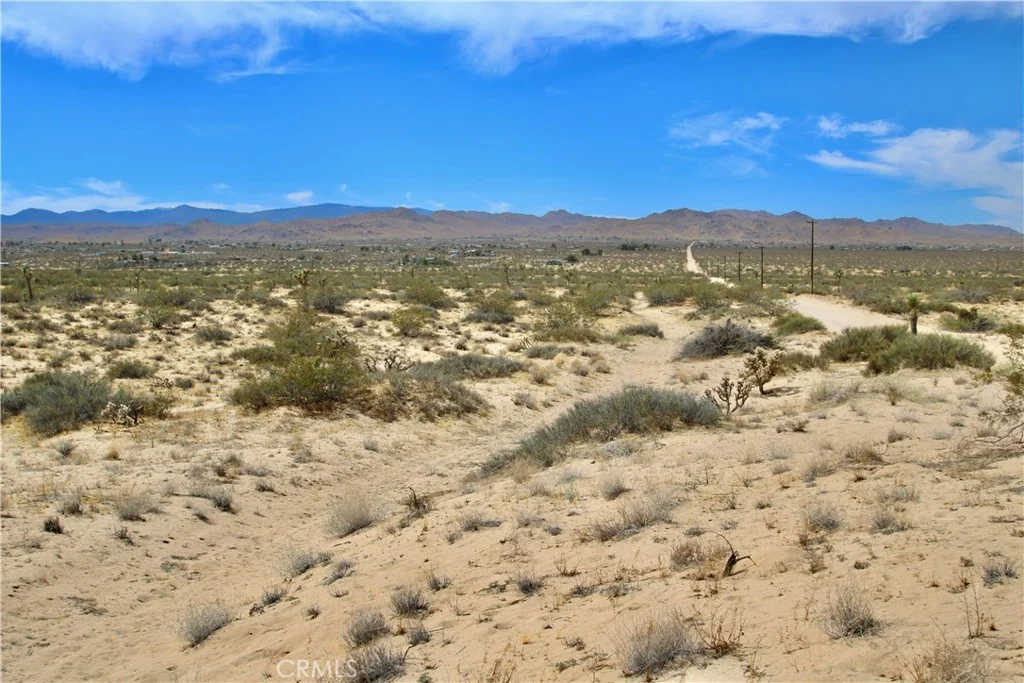 Mitch Lane, Landers, CA 92285