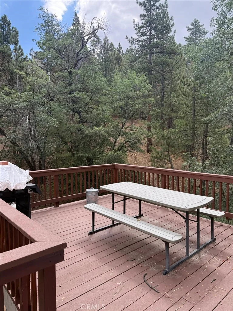 1260 Minton Drive, Big Bear City, CA 92314