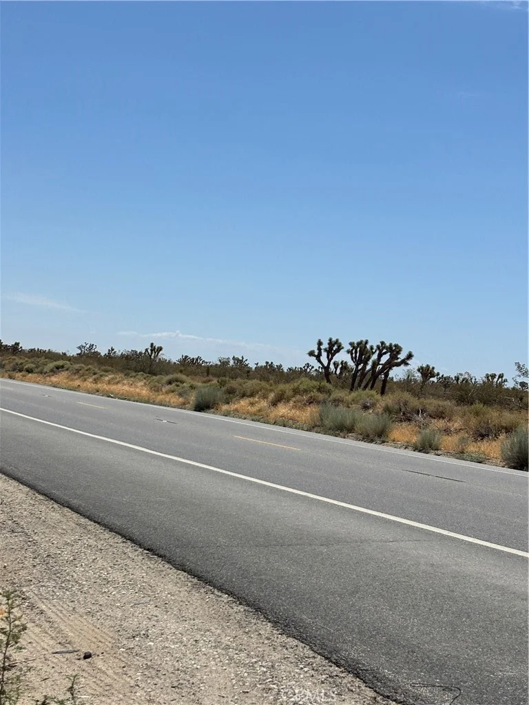 235, Black Butte, CA 93591 photo 2