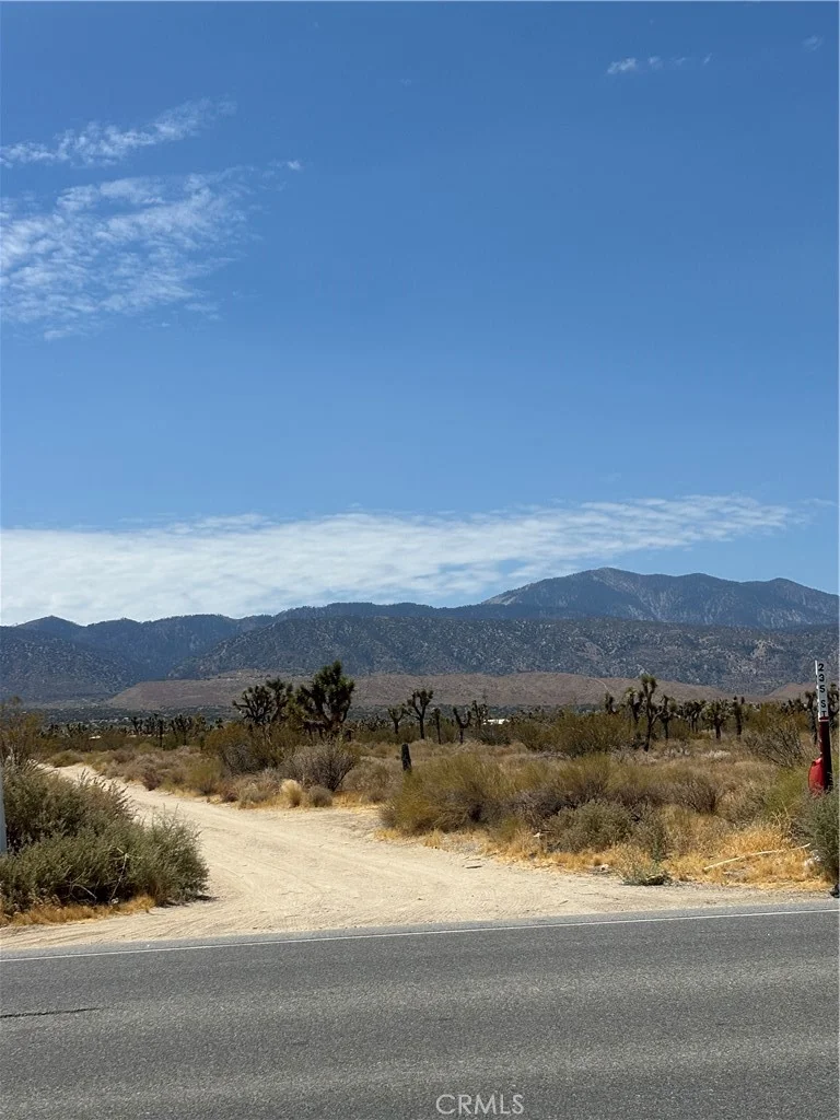 235, Black Butte, CA 93591 photo 3