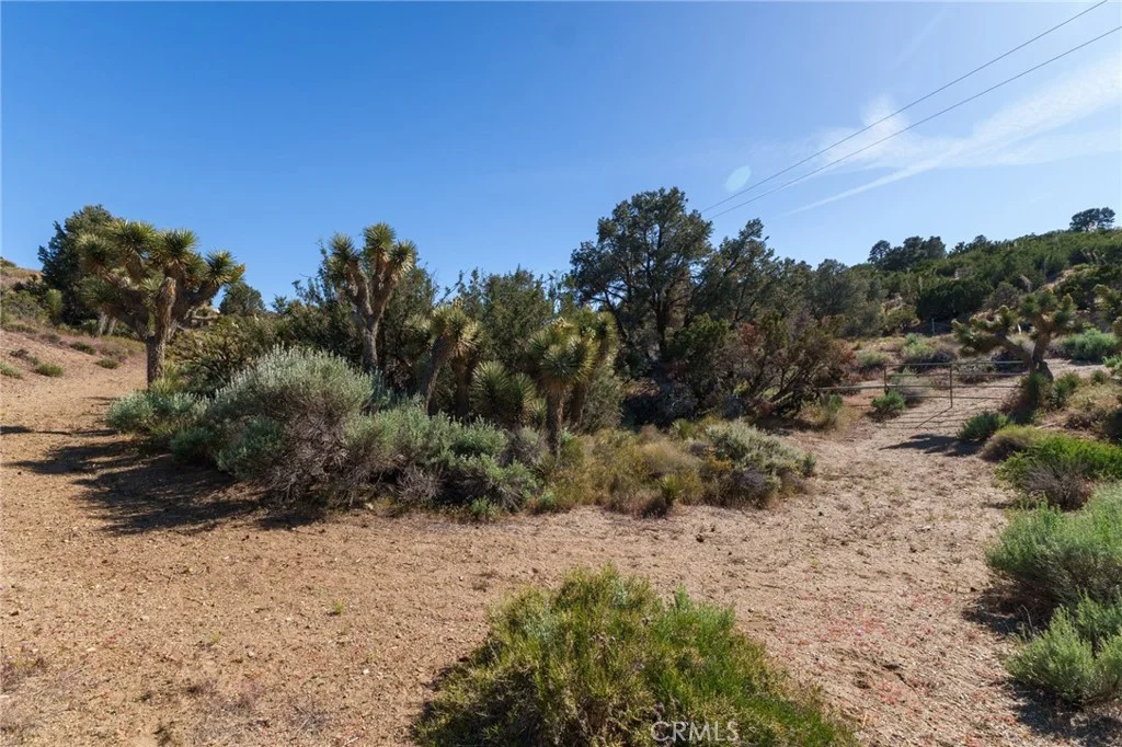 Additional image 21 of Silver Rock, Pinon Hills, CA 92372