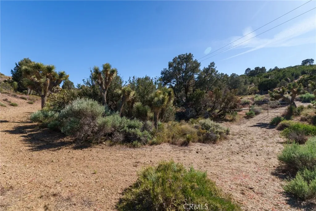 Additional image 43 of Silver Rock, Pinon Hills, CA 92372