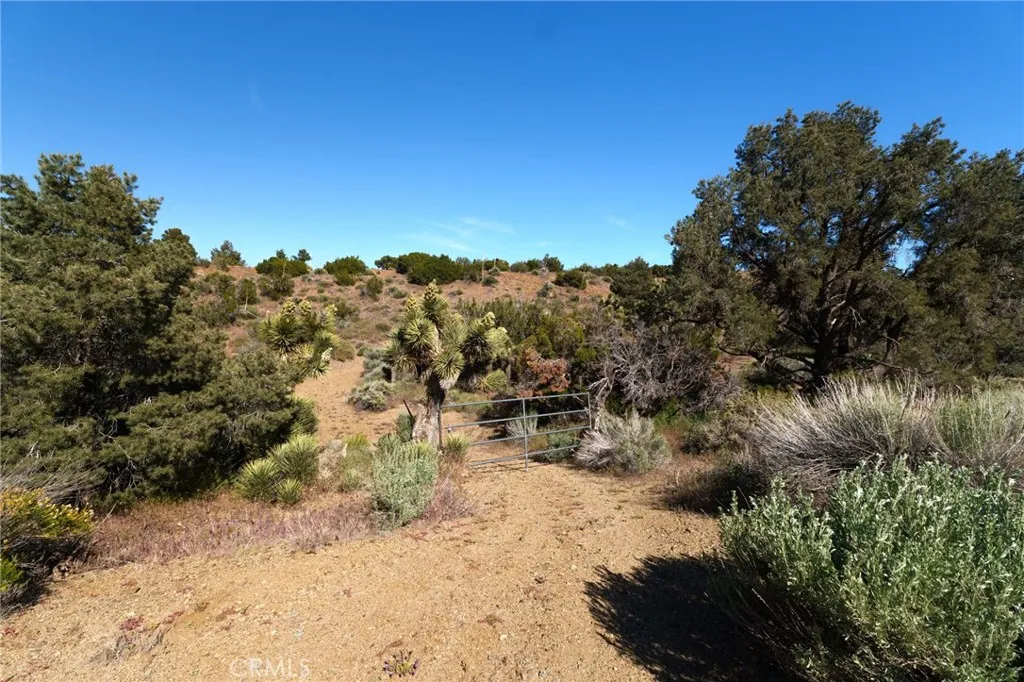 Additional image 31 of Silver Rock, Pinon Hills, CA 92372