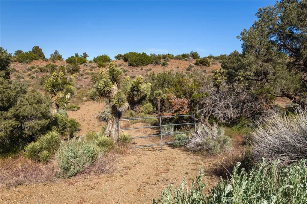 Additional image 44 of Silver Rock, Pinon Hills, CA 92372