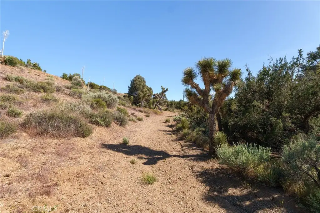 Additional image 5 of Silver Rock, Pinon Hills, CA 92372