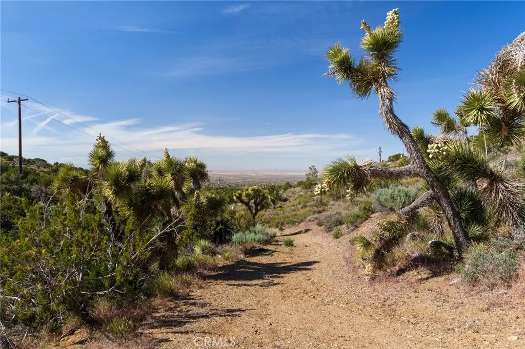 Additional image 8 of Silver Rock, Pinon Hills, CA 92372