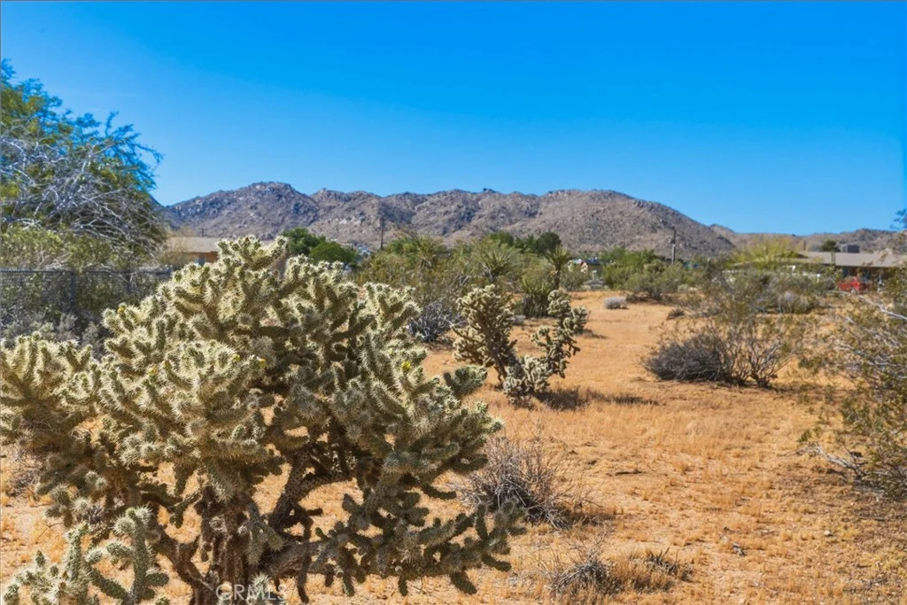 Adobe, Joshua Tree, CA 92252