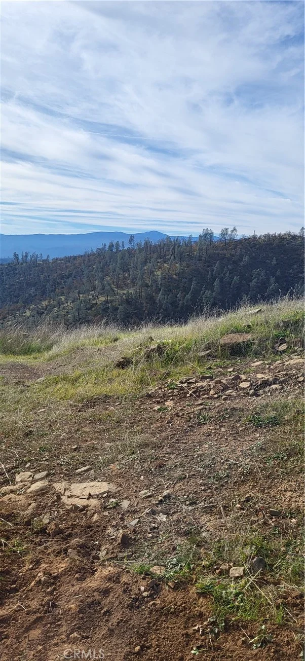 Cottonwood Creek, Igo, CA 96047