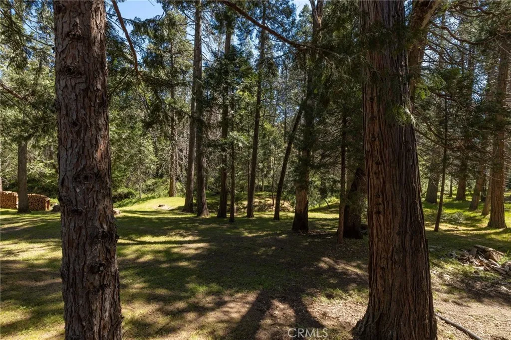 Additional image 49 of 36333 Finegold Creek Dr, North Fork, CA 93643