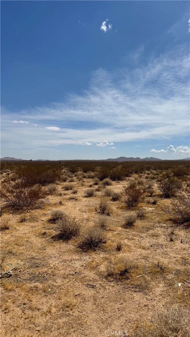 Sutter Rd, Lucerne Valley, CA 92356 photo 3