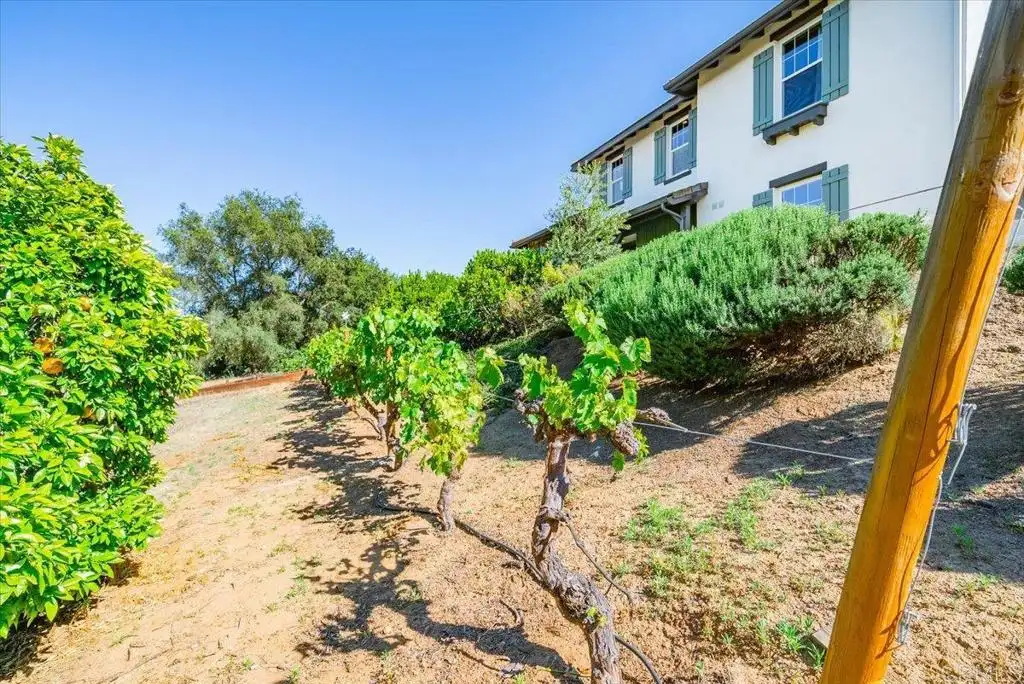 Additional image 64 of 27117 Santolina Street, Valley Center, CA 92082