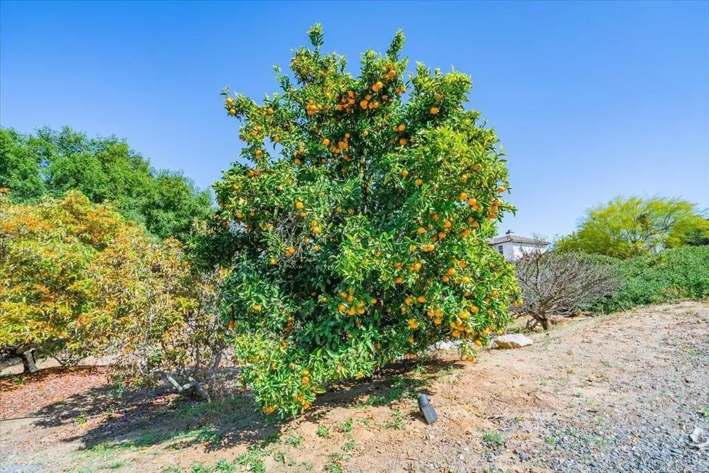 Additional image 62 of 27117 Santolina Street, Valley Center, CA 92082