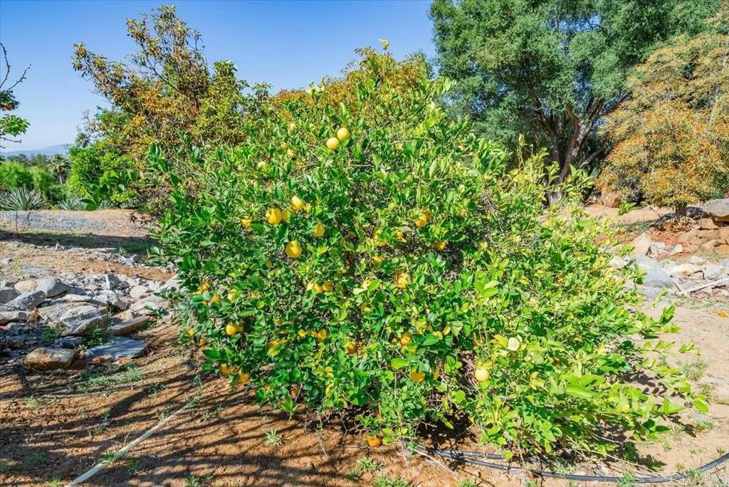 Additional image 137 of 27117 Santolina Street, Valley Center, CA 92082