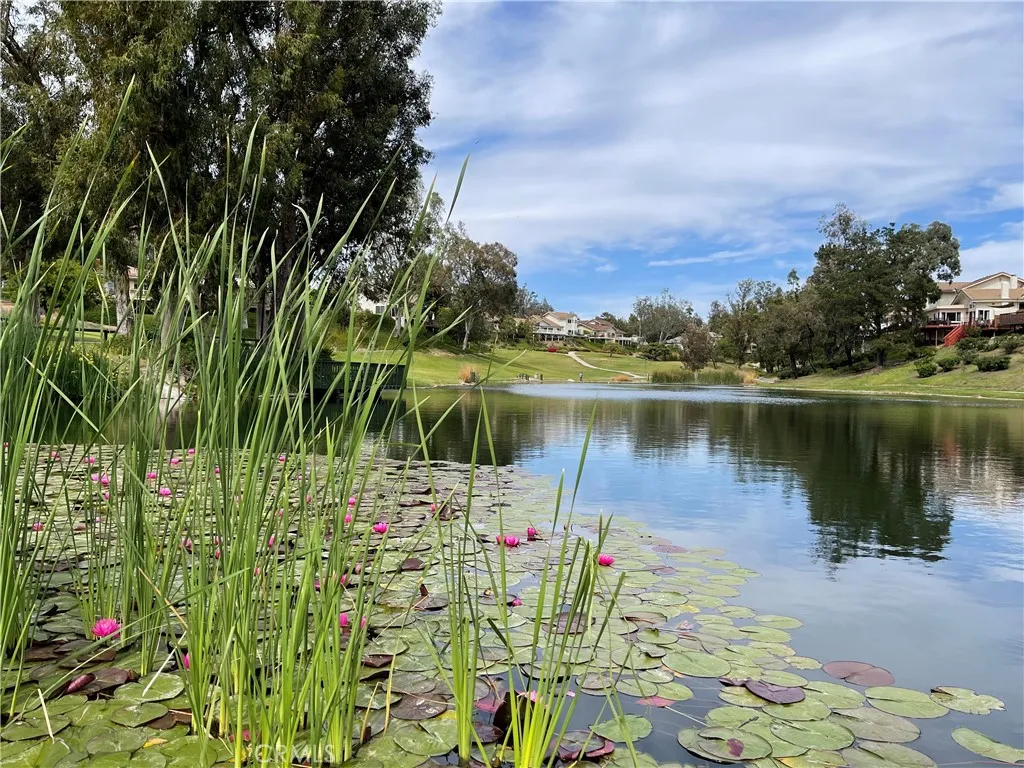 Additional image 33 of 629 N Buttonbush Trl, Orange, CA 92869