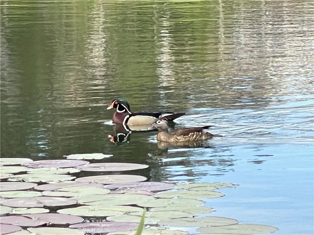 Additional image 32 of 629 N Buttonbush Trl, Orange, CA 92869