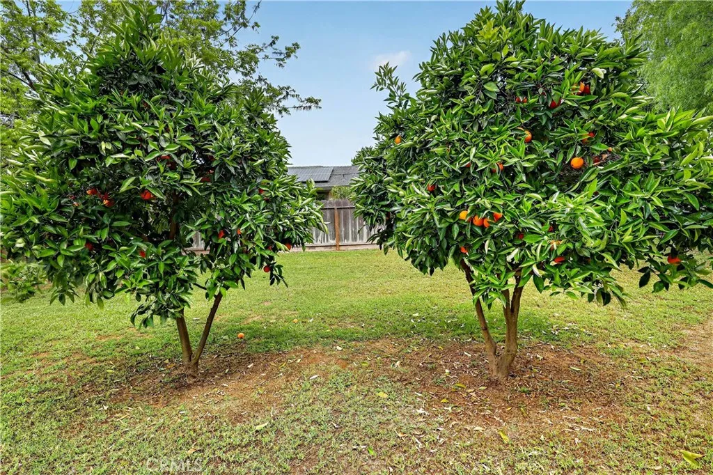 Additional image 118 of 3276 E Olive Avenue, Merced, CA 95340