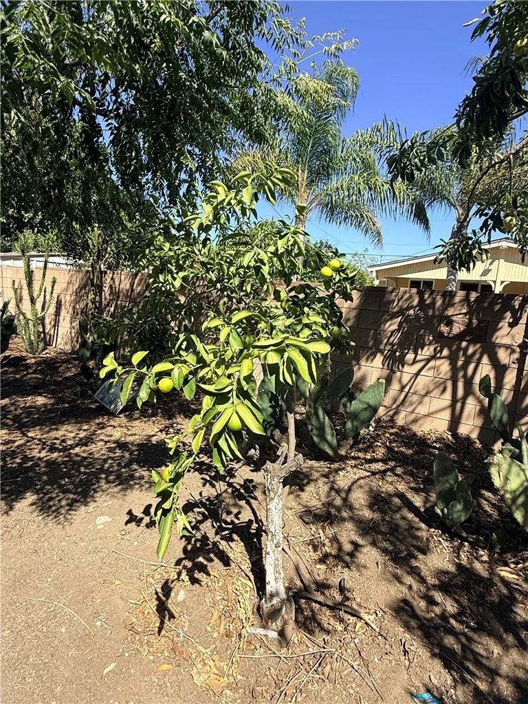 10416 Cayuga Ave, Pacoima, CA 91331