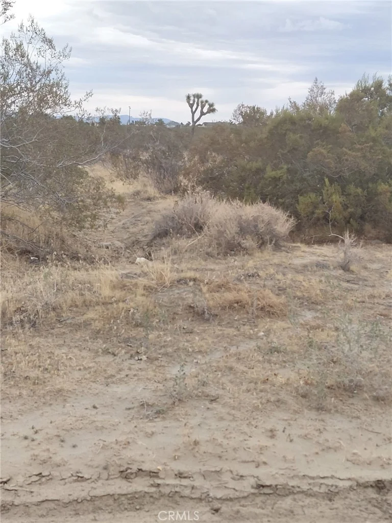 33 Eaby Road, Phelan, CA 92371
