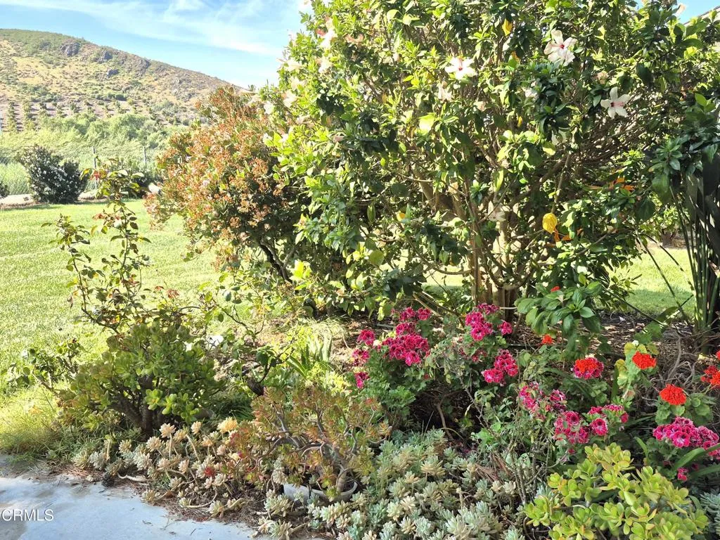 Additional image 32 of 42028 Village 42, Camarillo, CA 93012