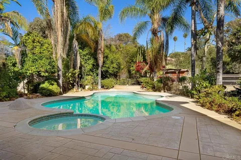 4225 Corral Canyon Road, Bonita, CA MLS: PTP2407031