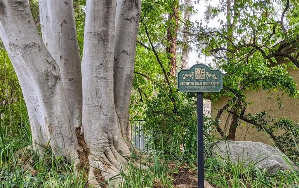 Additional image 114 of 4900 E Chapman Avenue Unit 51, Orange, CA 92869