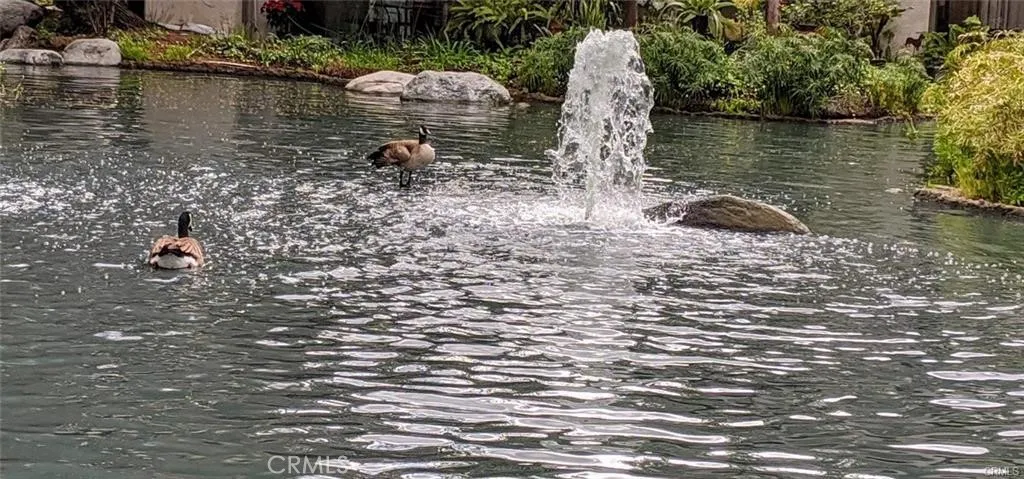 Additional image 45 of 4900 E Chapman Avenue Unit 51, Orange, CA 92869