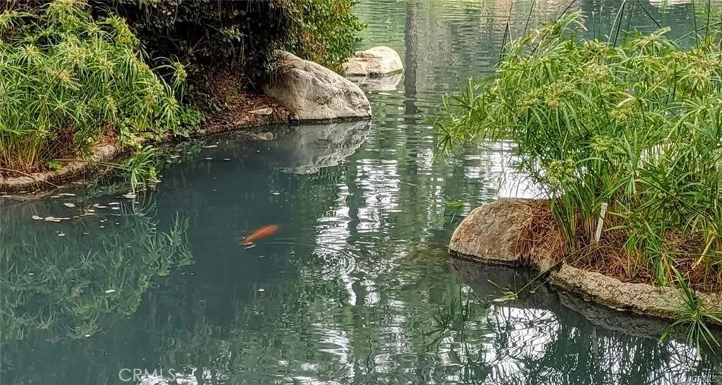 Additional image 47 of 4900 E Chapman Avenue Unit 51, Orange, CA 92869