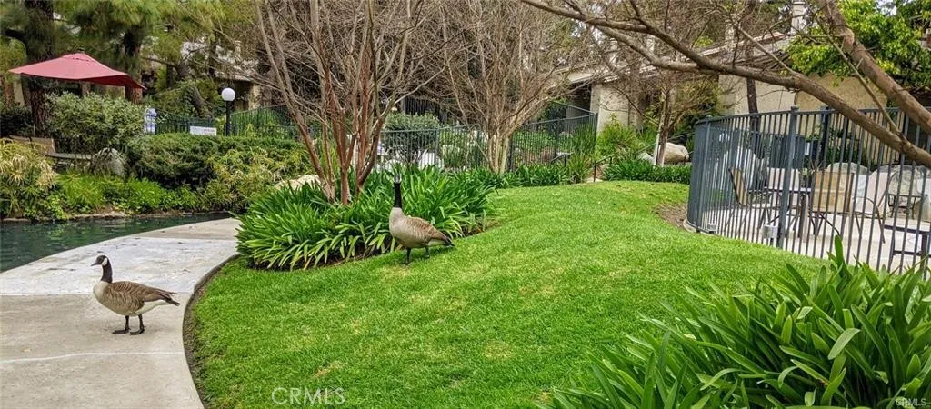 Additional image 46 of 4900 E Chapman Avenue Unit 51, Orange, CA 92869