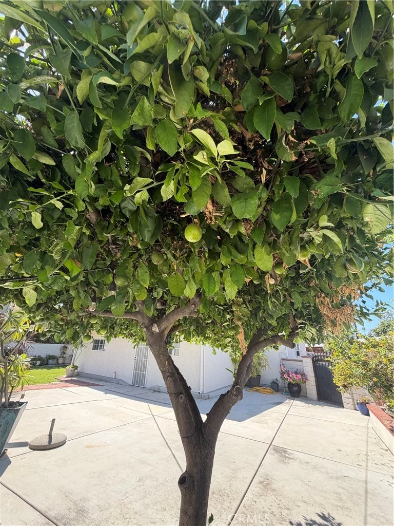 15719 Wedgeworth Drive, Hacienda Heights, CA 91745